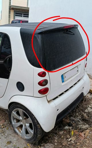 Portón Smart Fortwo