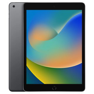 iPad 9 256GB Grigio Siderale