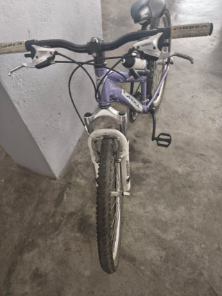 Bicicleta Orbea