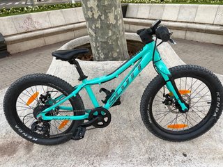 Bicicleta Infantil Scott Roxter 20