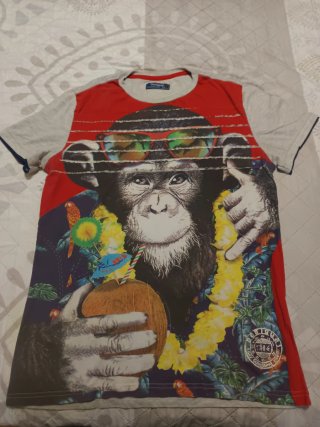 Camiseta Desigual Chico Mono Tropical