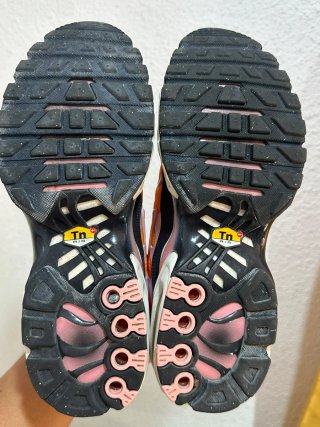 Nike Air Max Plus Sherbet