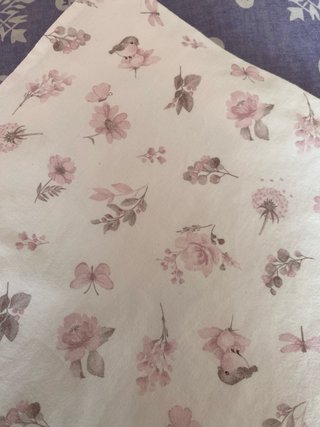 Funda Nórdica y Almohada Maxicuna