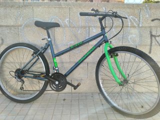 Bicicleta Económica