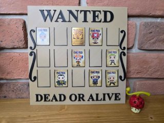 Expositor One Piece
