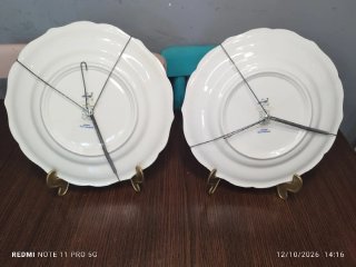2 Platos Porcelana Francesa Salins Les Bains