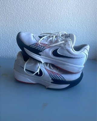Zapatillas Baloncesto Nike Academy