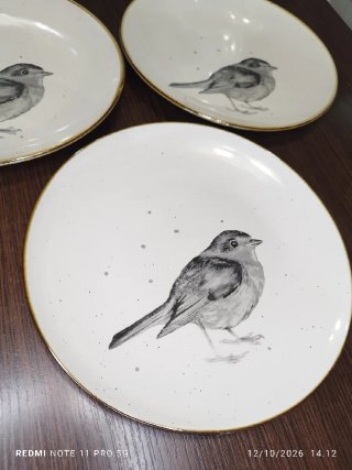 5 Platos Llanos Porcelana con Borde Marron
