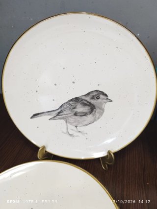 5 Platos Llanos Porcelana con Borde Marron