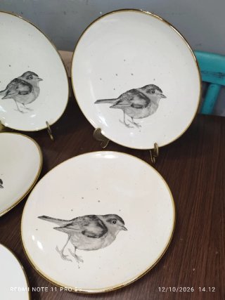 5 Platos Llanos Porcelana con Borde Marron