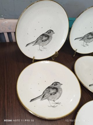5 Platos Llanos Porcelana con Borde Marron