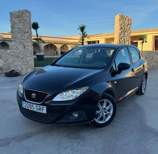 SEAT Ibiza 2010