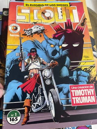 Lote 16 Cómics Scout (Timothy Truman)
