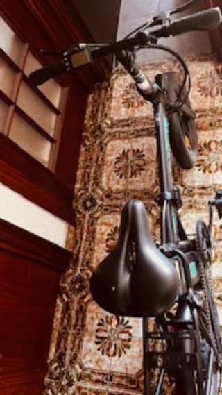 Bicicleta Eléctrica Tribu Li Tai