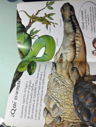 Libro 1.000 Preguntas y Respuestas de Animales