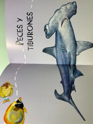 Libro 1.000 Preguntas y Respuestas de Animales