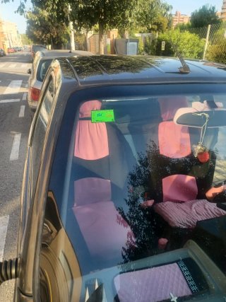 microcar xt 100 xt 100 2006