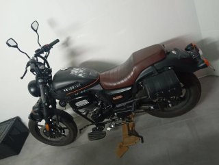 Mota UM Renegade