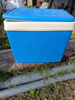 Nevera Portátil Azul y Blanca