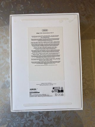 iPad 10ª Gen 256GB + Caricabatterie Originale + Protezione