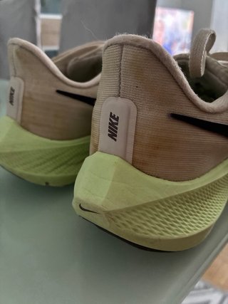 Nike Pegasus 39 Beige/Verde