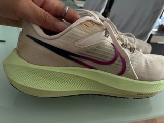 Nike Pegasus 39 Beige/Verde