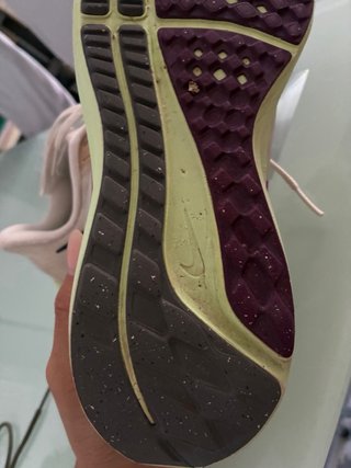 Nike Pegasus 39 Beige/Verde