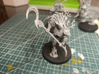 Kurnoth Hunters Sylvaneth Warhammer