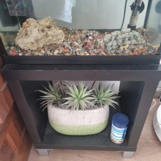 Acuario con mueble 25L
