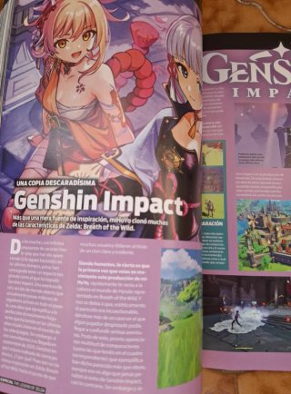 Revista The Legend of Zelda Especial Gadget