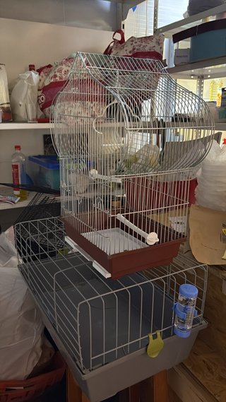 Jaula para pájaros