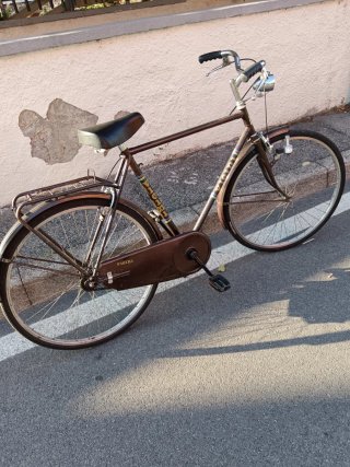 Bicicletta da uomo marrone