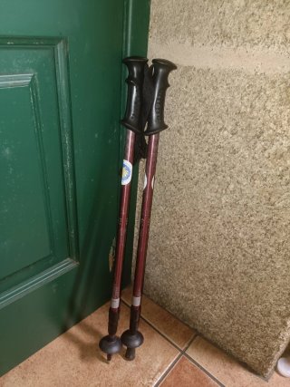 Set de 2 Bastones de Senderismo
