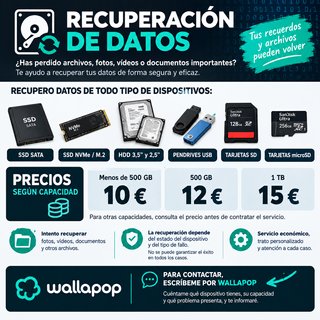 Servicio de Recuperación de Datos
