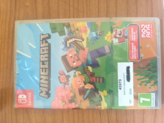 Minecraft Nintendo Switch