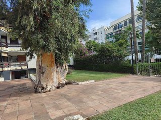 Piso en alquiler en Zona Puerto Deportivo en Fuengirola