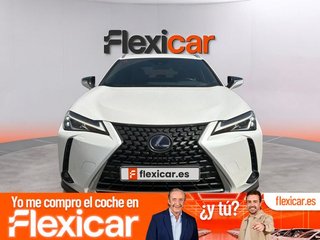 Lexus UX 2.0 250h Business