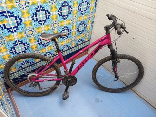 Bicicleta de Montaña B-Pro Rosa