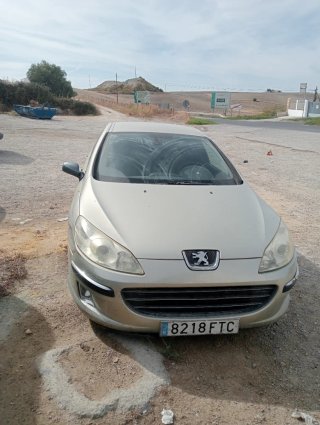 Peugeot 407 2007