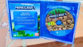 Minecraft (PlayStation 4)