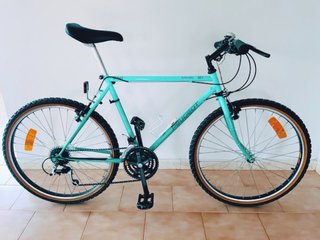Bicicleta de Montaña Peugeot Safari 21