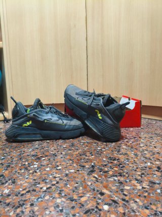 Zapatillas Nike Air Max 2090