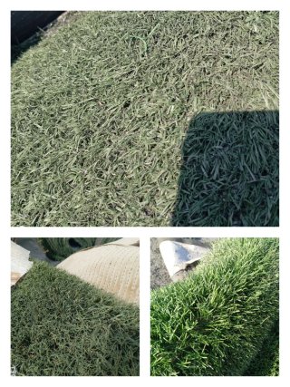 Venta de césped artificial
