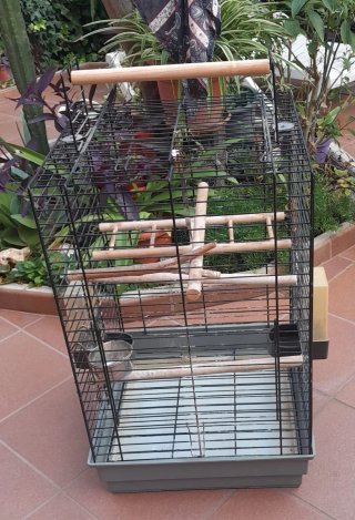 Jaula para loro negra y marrón