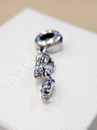 Charm Jasmine Aladdin Disney Plata