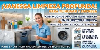 Limpieza profunda