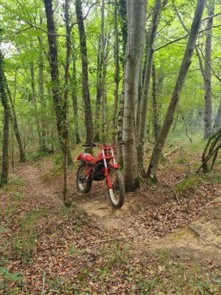Moto de Trial Beta TR32