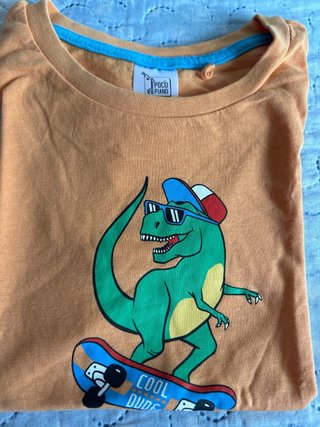 Camiseta Infantil Dinosaurio Talla 110cm