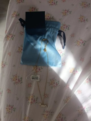 Collar con colgante de perro