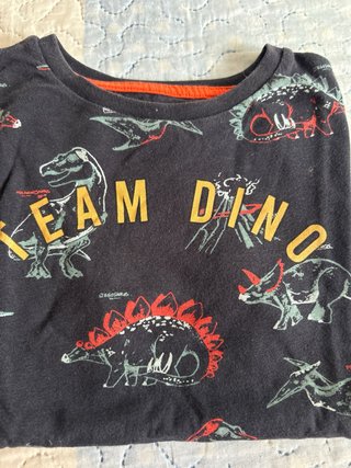 Camiseta  Estampado Dinosaurios 5 Años kiabi